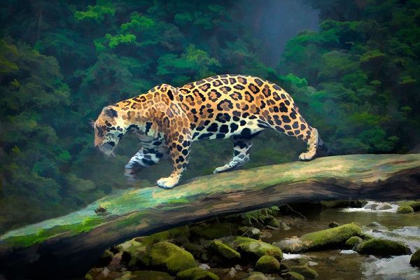 Brazil-Pantanal Abstract of jaguar walking on log